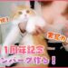 利香